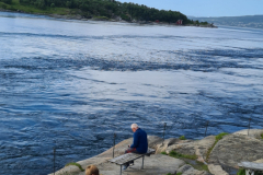 Screenshot_20240708_100126_Gallery