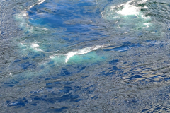 Screenshot_20240708_100141_Gallery