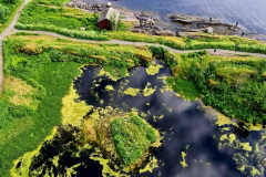 Screenshot_20240708_100341_Gallery