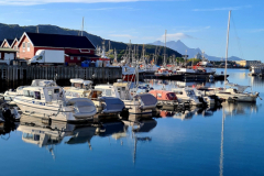 Screenshot_20240708_100501_Gallery