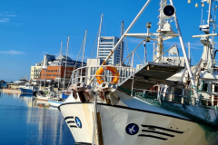 Screenshot_20240708_100504_Gallery