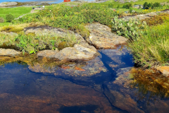 Screenshot_20240708_100846_Gallery