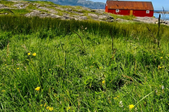 Screenshot_20240708_100854_Gallery