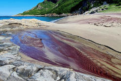 Screenshot_20240708_100925_Gallery