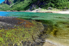 Screenshot_20240708_101003_Gallery