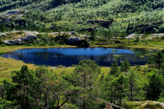 Screenshot_20240708_101105_Gallery