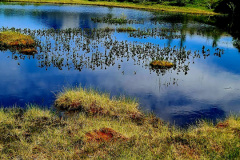 Screenshot_20240708_101112_Gallery