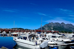 Screenshot_20240708_101134_Gallery