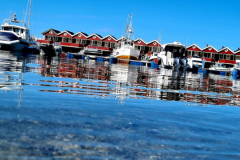 Screenshot_20240708_101147_Gallery