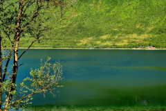 Screenshot_20240629_165646_Gallery