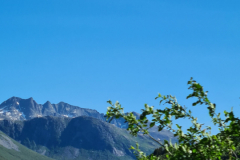 Screenshot_20240629_165729_Gallery