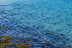 Screenshot_20240629_165836_Gallery