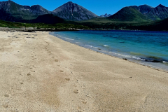 Screenshot_20240629_165856_Gallery