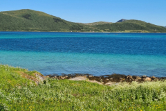 Screenshot_20240629_165922_Gallery