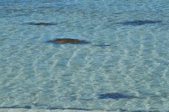 Screenshot_20240629_170049_Gallery