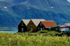 Screenshot_20240629_170105_Gallery