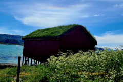 Screenshot_20240629_170124_Gallery