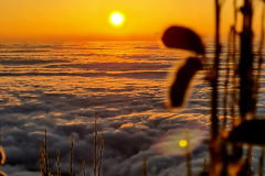 Screenshot_20240801_095037_Gallery