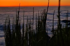 Screenshot_20240801_095326_Gallery