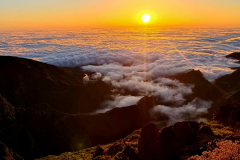 Screenshot_20240801_095557_Gallery