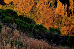 Screenshot_20240801_095615_Gallery