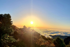 Screenshot_20240801_095638_Gallery