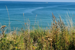 Screenshot_20240904_195946_Gallery