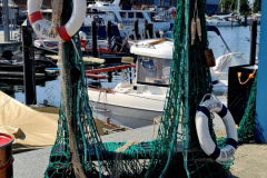 Screenshot_20240904_200032_Gallery