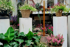 Screenshot_20240904_200044_Gallery