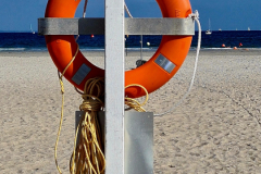 Screenshot_20240904_200140_Gallery