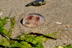 Screenshot_20240904_200154_Gallery