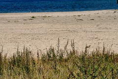 Screenshot_20240904_200208_Gallery