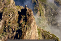 Screenshot_20240801_071747_Gallery