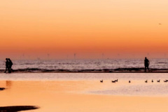 Screenshot_20240607_214943_Gallery