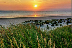 Screenshot_20240608_064848_Chrome