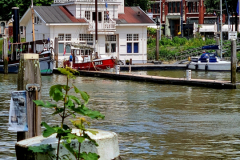 Screenshot_20240618_164134_Gallery