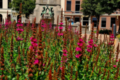 Screenshot_20240618_164142_Gallery