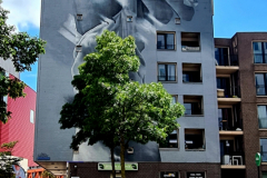 Screenshot_20240618_164151_Gallery