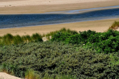 Screenshot_20240618_164338_Gallery