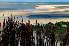 Screenshot_20240618_164354_Gallery