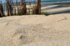 Screenshot_20240618_164402_Gallery