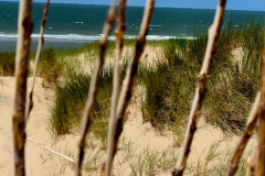 Screenshot_20240618_164411_Gallery