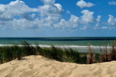 Screenshot_20240618_164426_Gallery