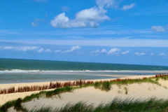 Screenshot_20240618_164433_Gallery