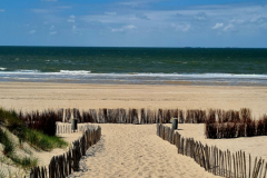 Screenshot_20240618_164449_Gallery