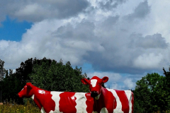 Screenshot_20240618_164507_Gallery