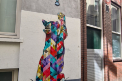 Screenshot_20240618_164533_Gallery