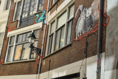 Screenshot_20240618_164541_Gallery