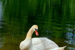 Screenshot_20240618_164658_Gallery